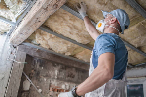 Best Eco-Friendly Insulation in Fulton, MO